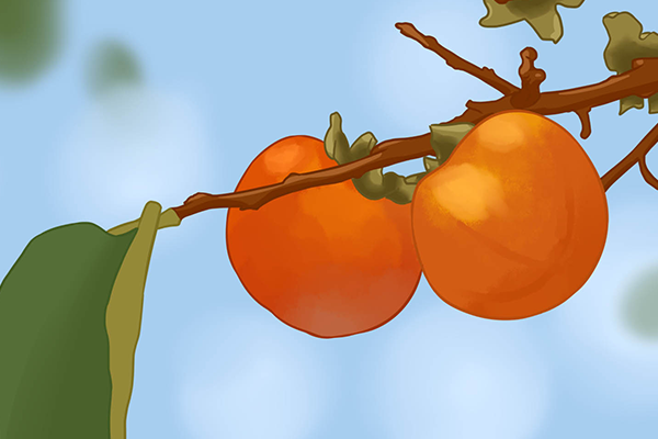 �и������Ӷ�̥������ �и������Ӷ�̥���ĺô�